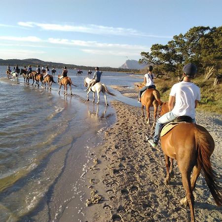 Appartamento Sette Posti Vicino Al Centro Di San Teodoro San Teodoro  Exteriör bild