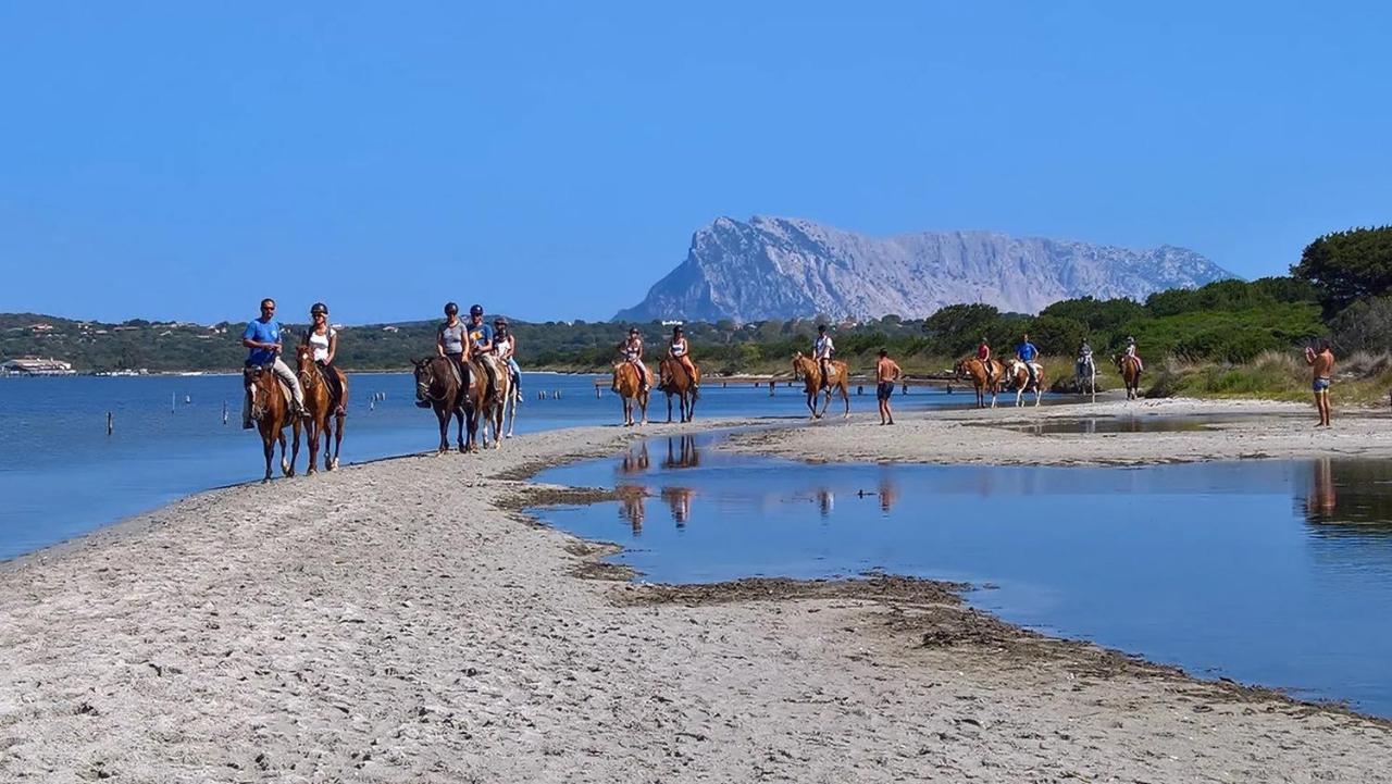 Appartamento Sette Posti Vicino Al Centro Di San Teodoro San Teodoro  Exteriör bild