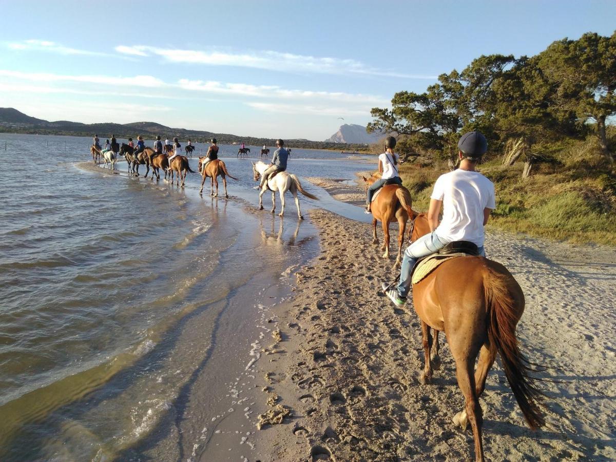 Appartamento Sette Posti Vicino Al Centro Di San Teodoro San Teodoro  Exteriör bild